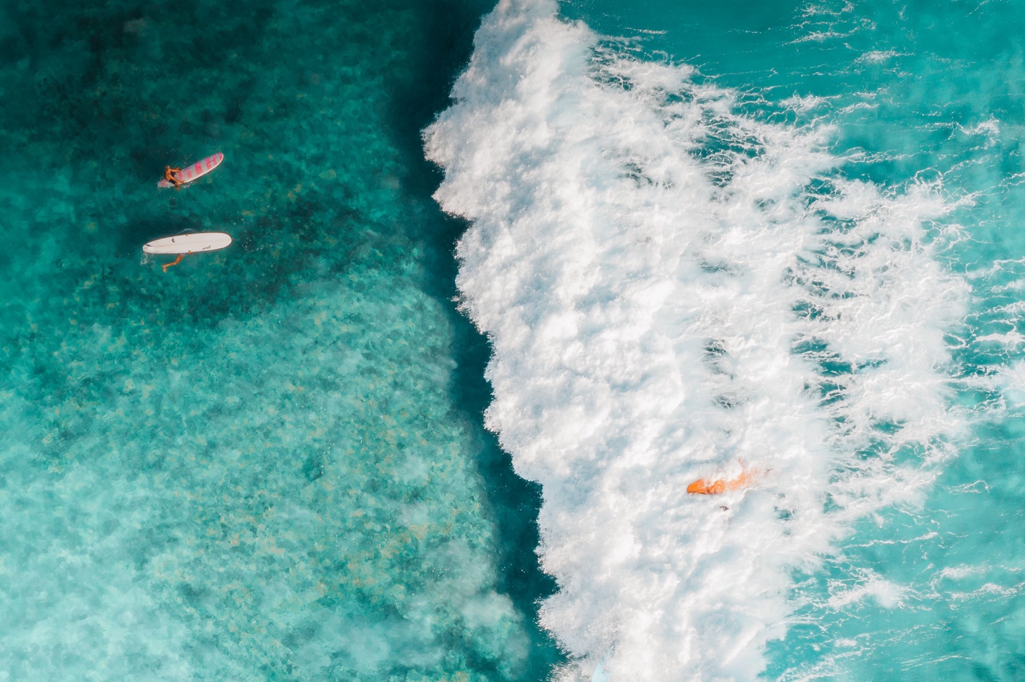Aerial view of surfers on a tropical coastline